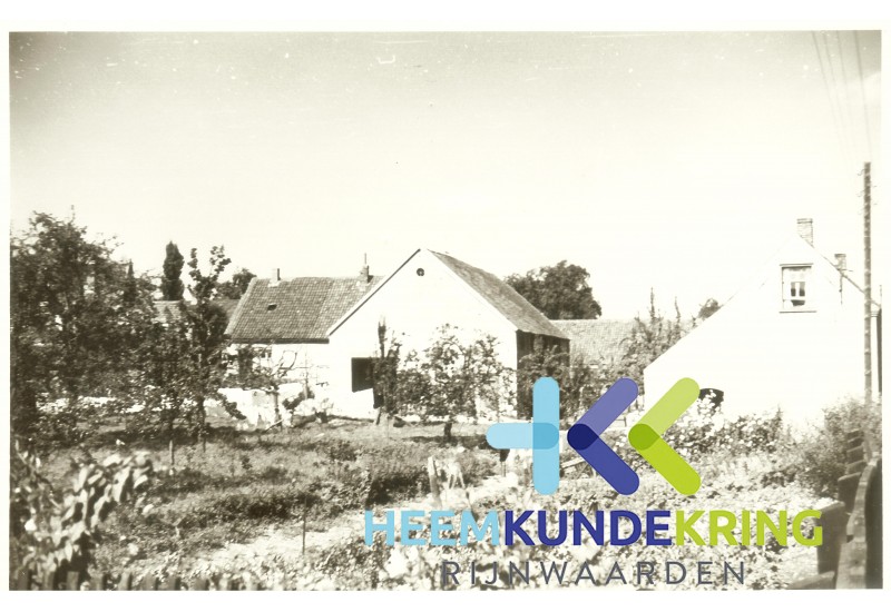 1949-50 96